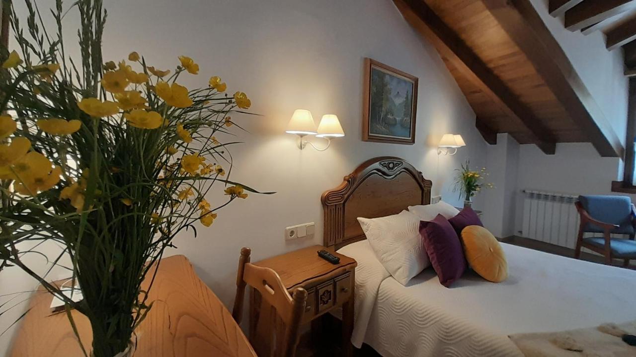 Apartamentos El Haya Cosgaya Extérieur photo