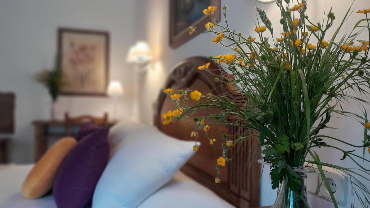 Apartamentos El Haya Cosgaya Extérieur photo